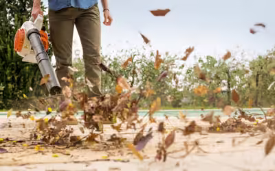 STIHL: Innovación y Calidad en Herramientas de Jardinería y Limpieza