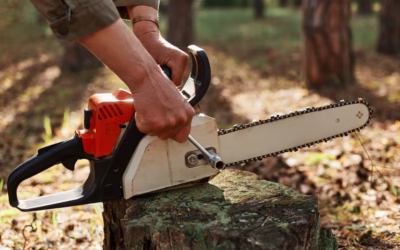 ¿Cuanto Cuesta Una Motosierra Stihl?